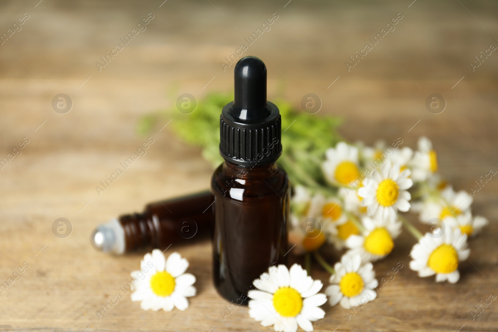Photo of Bottles of essential oil and chamomiles on wooden table
