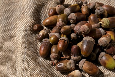 Pile of acorns on sack, space for text