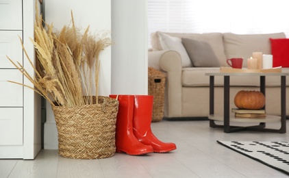Photo of Red boots and spikelets on floor indoors. Cozy living room interior inspired by autumn colors