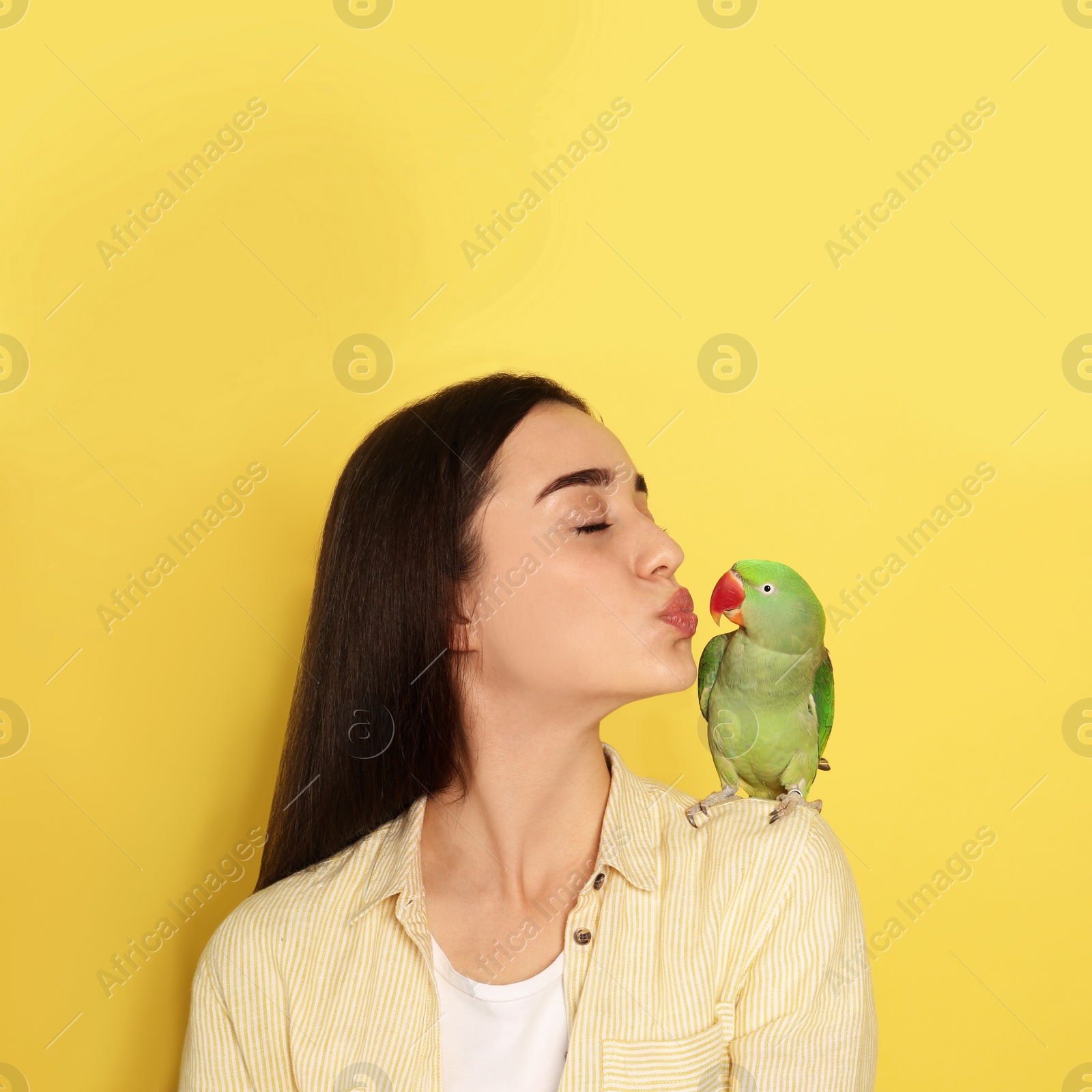 Photo of Young woman with Alexandrine parakeet on yellow background, space for text. Cute pet