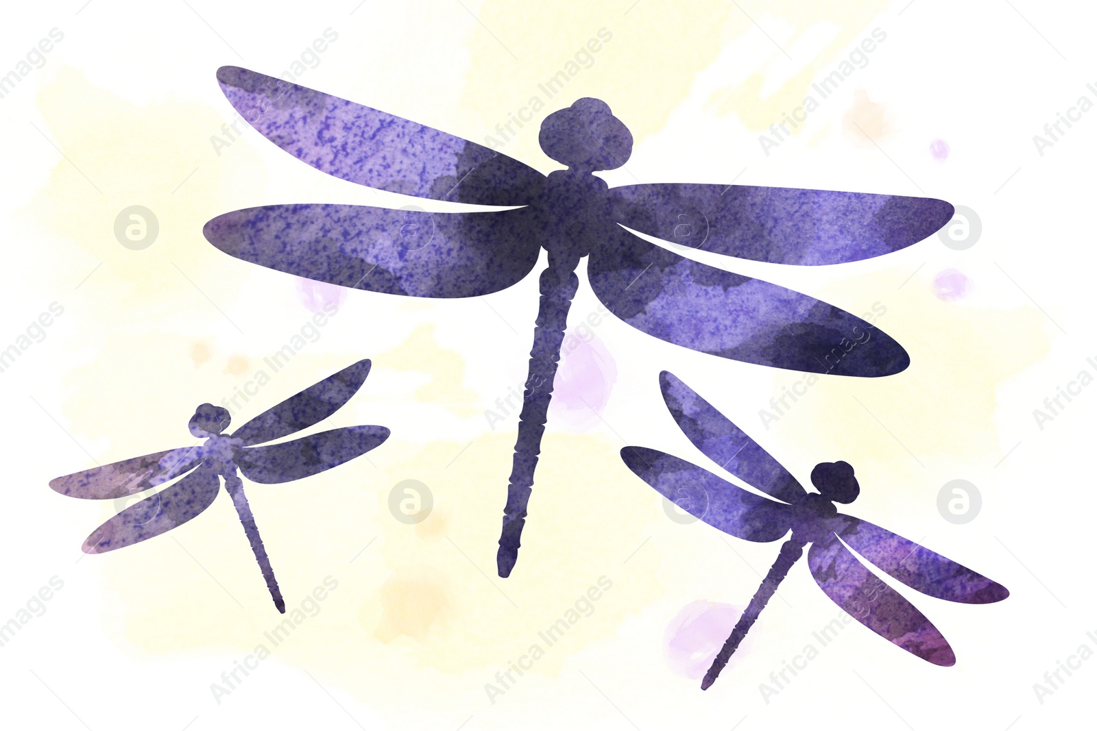 Illustration of Silhouettes of dragonflies drawn with watercolor paint on white background