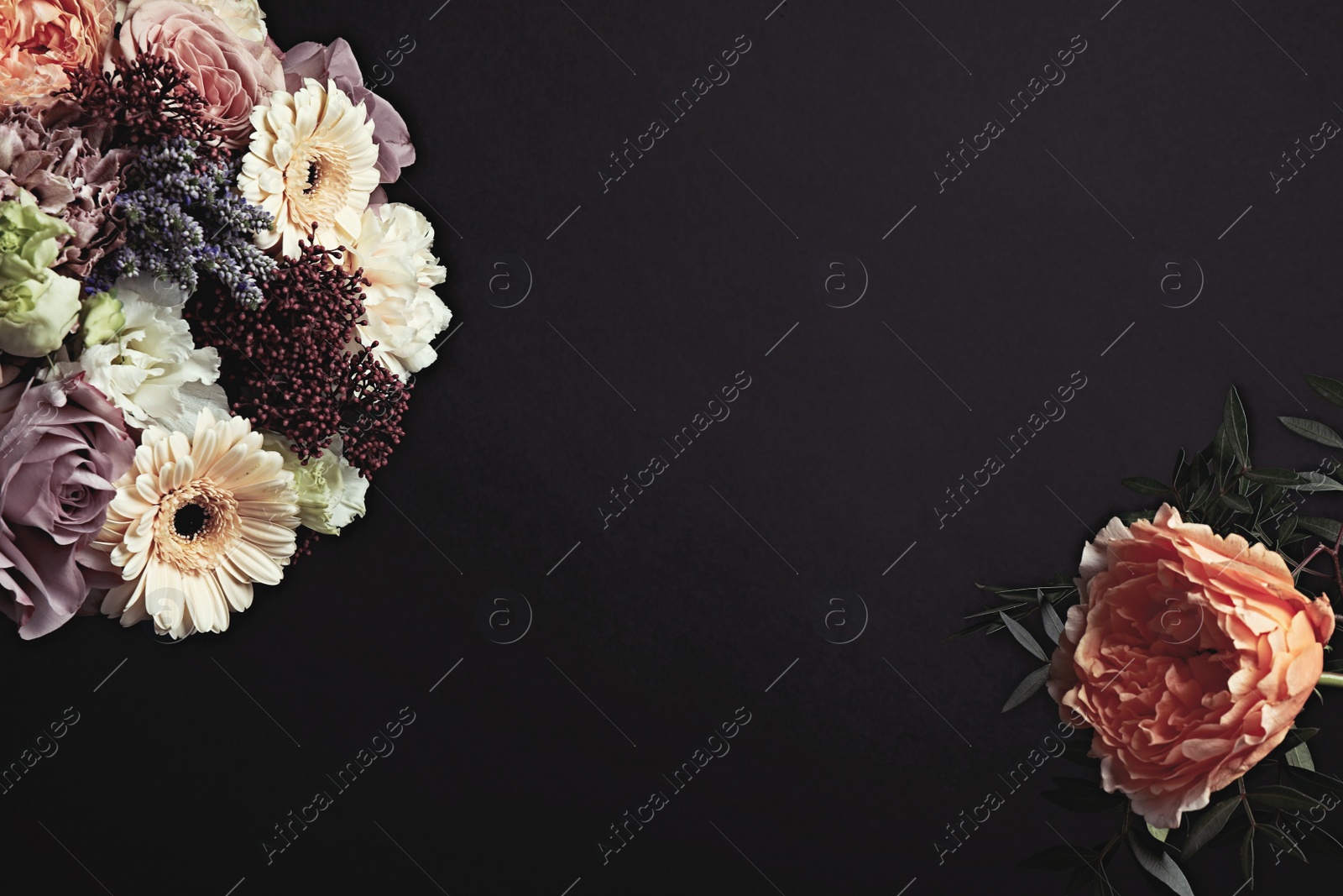 Photo of Beautiful fresh flowers on black background, space for text. Floral card design with dark vintage effect