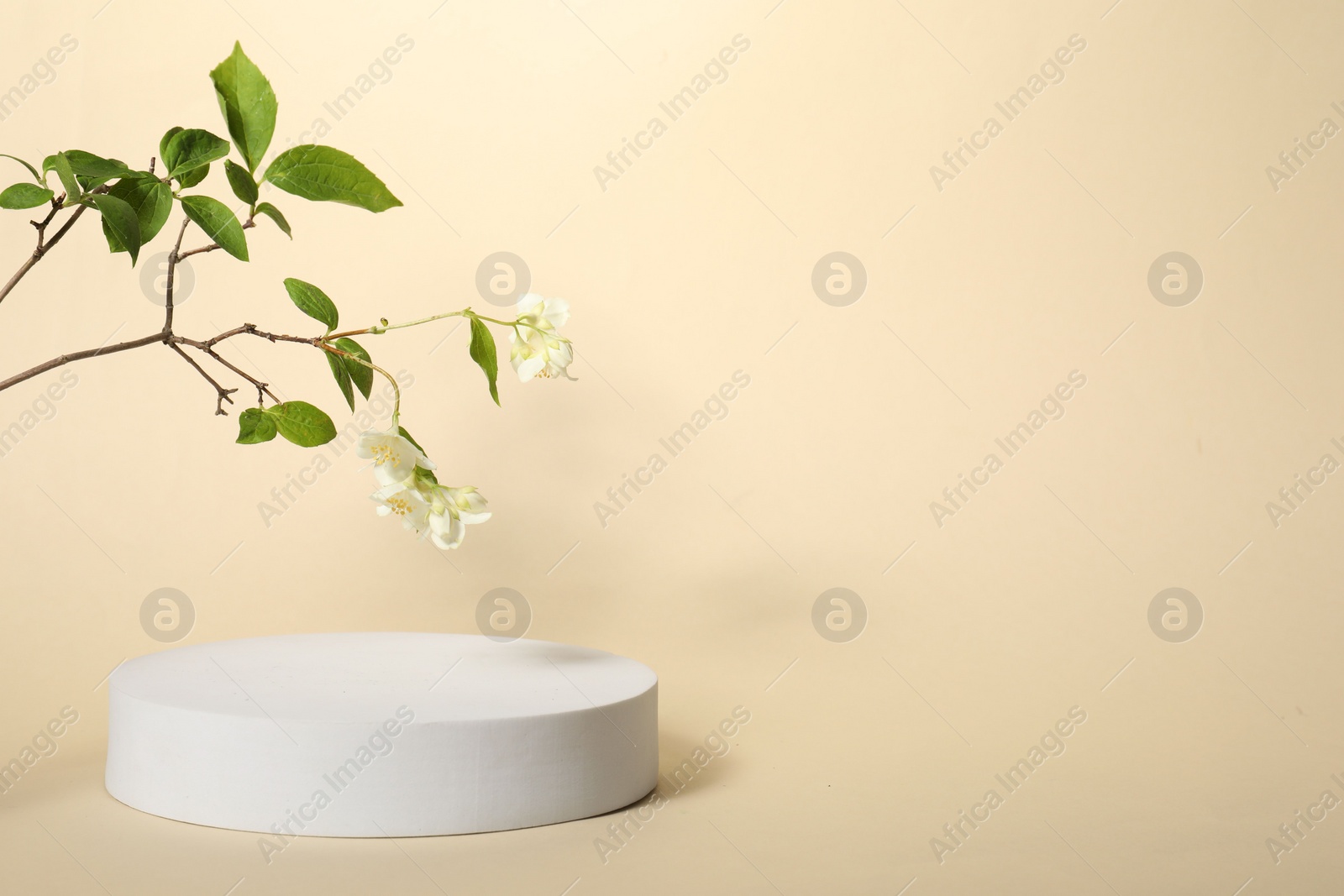 Photo of Presentation of product. White podium and beautiful jasmine branch on beige background, space for text