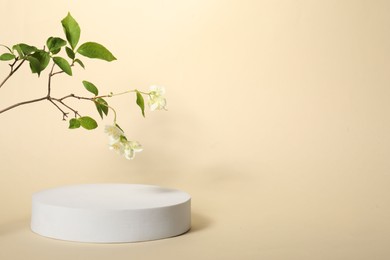 Presentation of product. White podium and beautiful jasmine branch on beige background, space for text