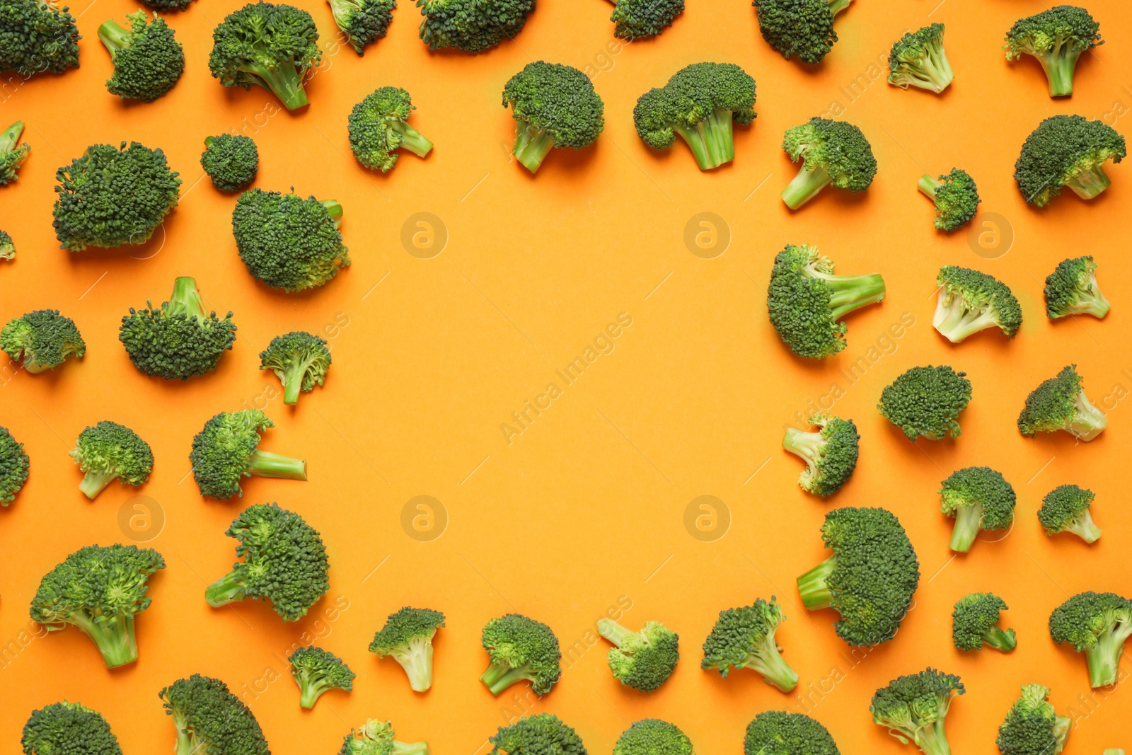 Photo of Fresh tasty broccoli on orange background, flat lay. Space for text