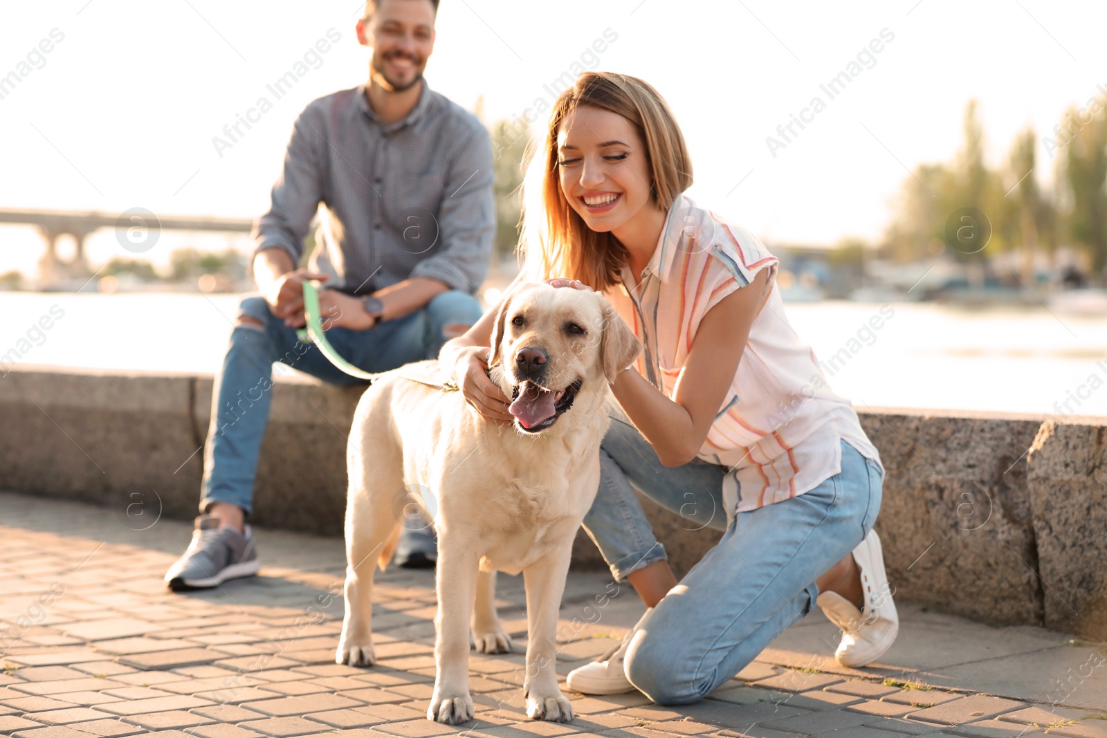 Photo of Cute yellow labrador retriever with owners outdoors