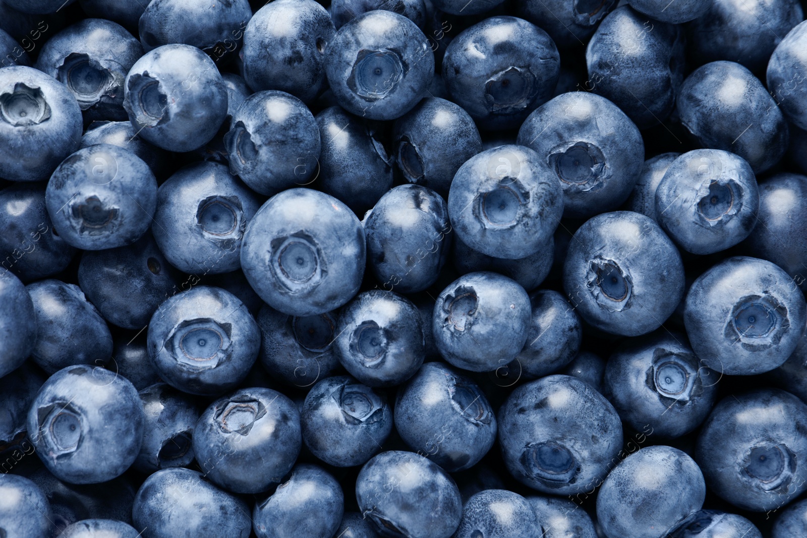 Photo of Tasty fresh blueberries as background, top view