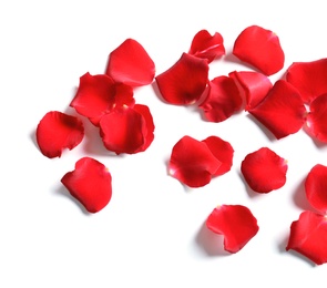 Photo of Red rose petals on white background, top view