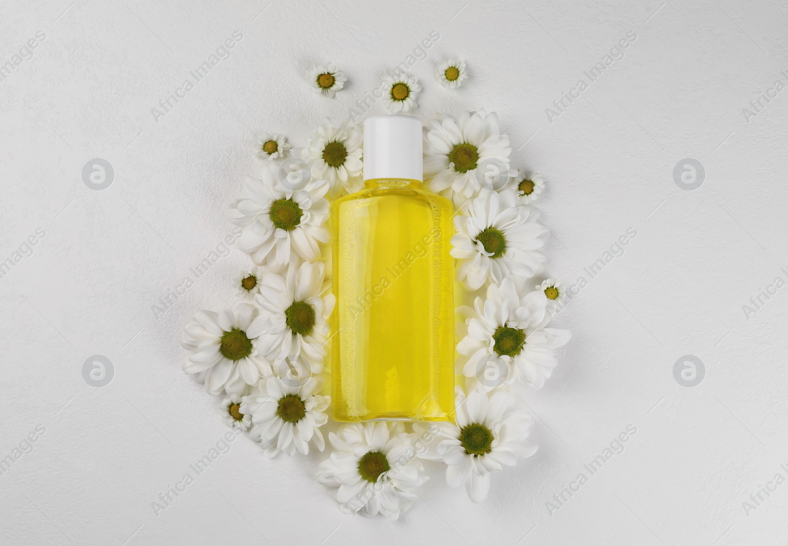 Photo of Fresh mouthwash in bottle surrounded by chamomiles on white background, top view