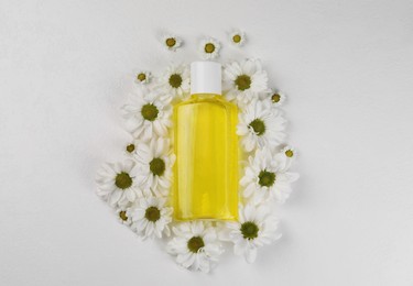 Photo of Fresh mouthwash in bottle surrounded by chamomiles on white background, top view