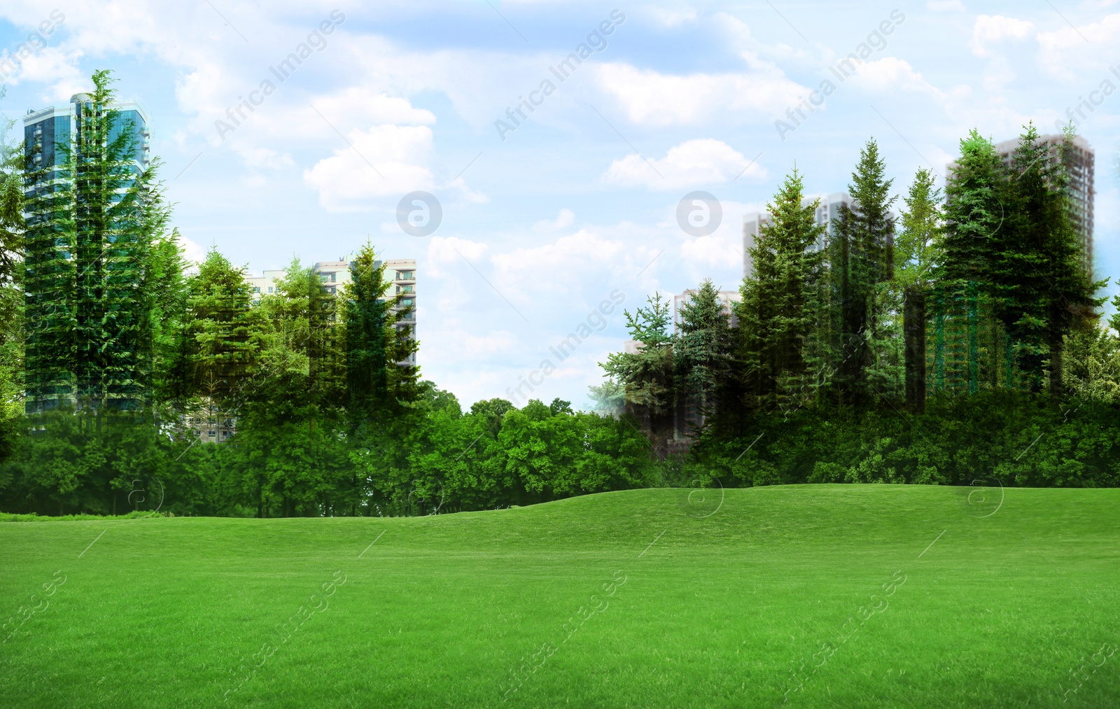 Image of Double exposure of green forest and cityscape with buildings