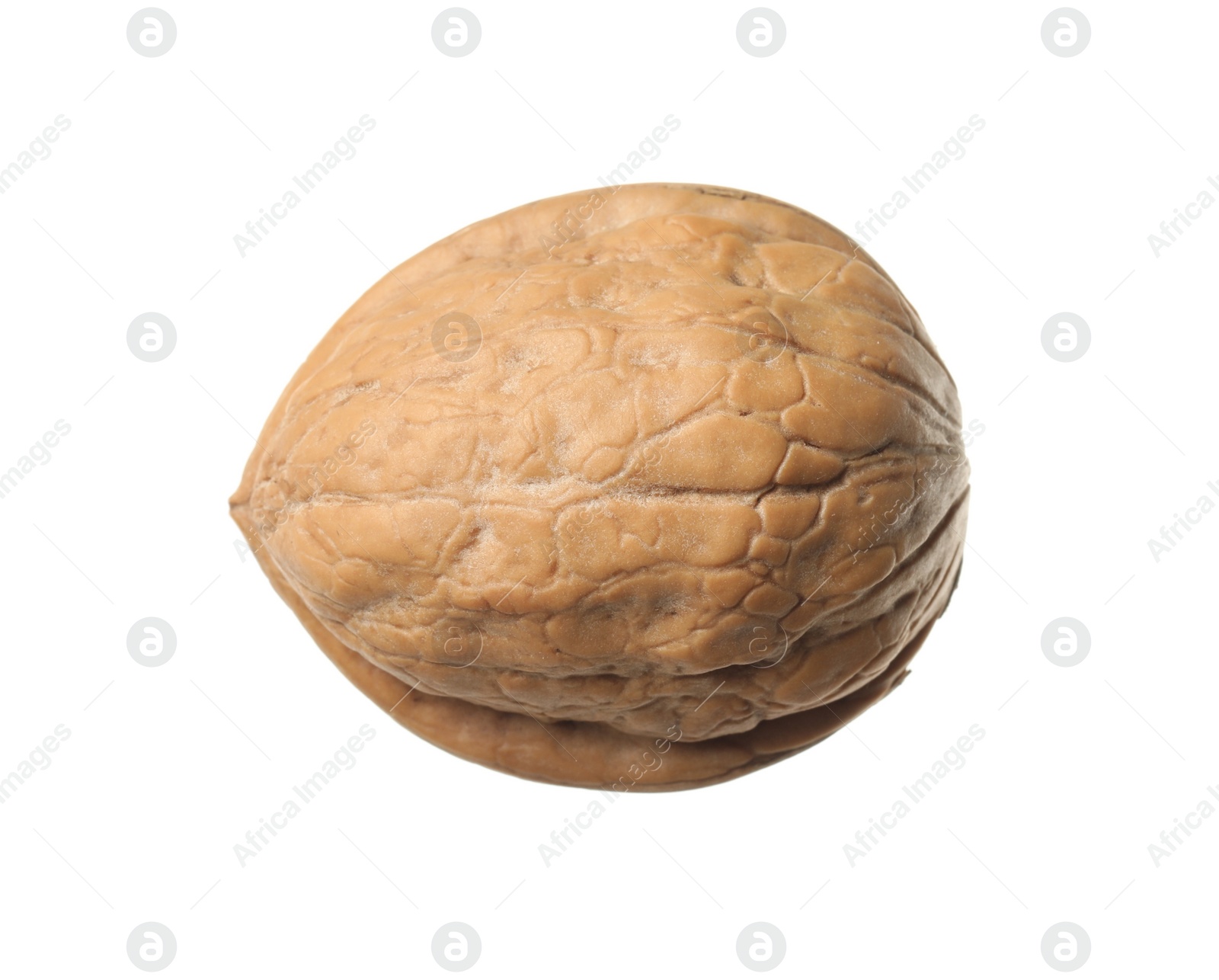 Photo of Whole walnut in shell isolated on white