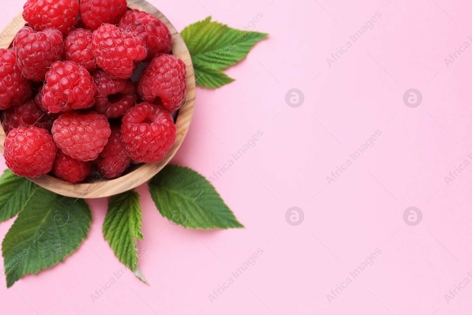 Photo of Tasty ripe raspberries and green leaves on pink background, above view. Space for text