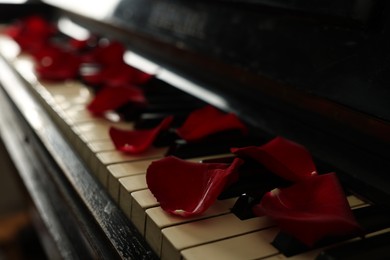 Photo of Many red rose petals on piano keys, closeup. Space for text