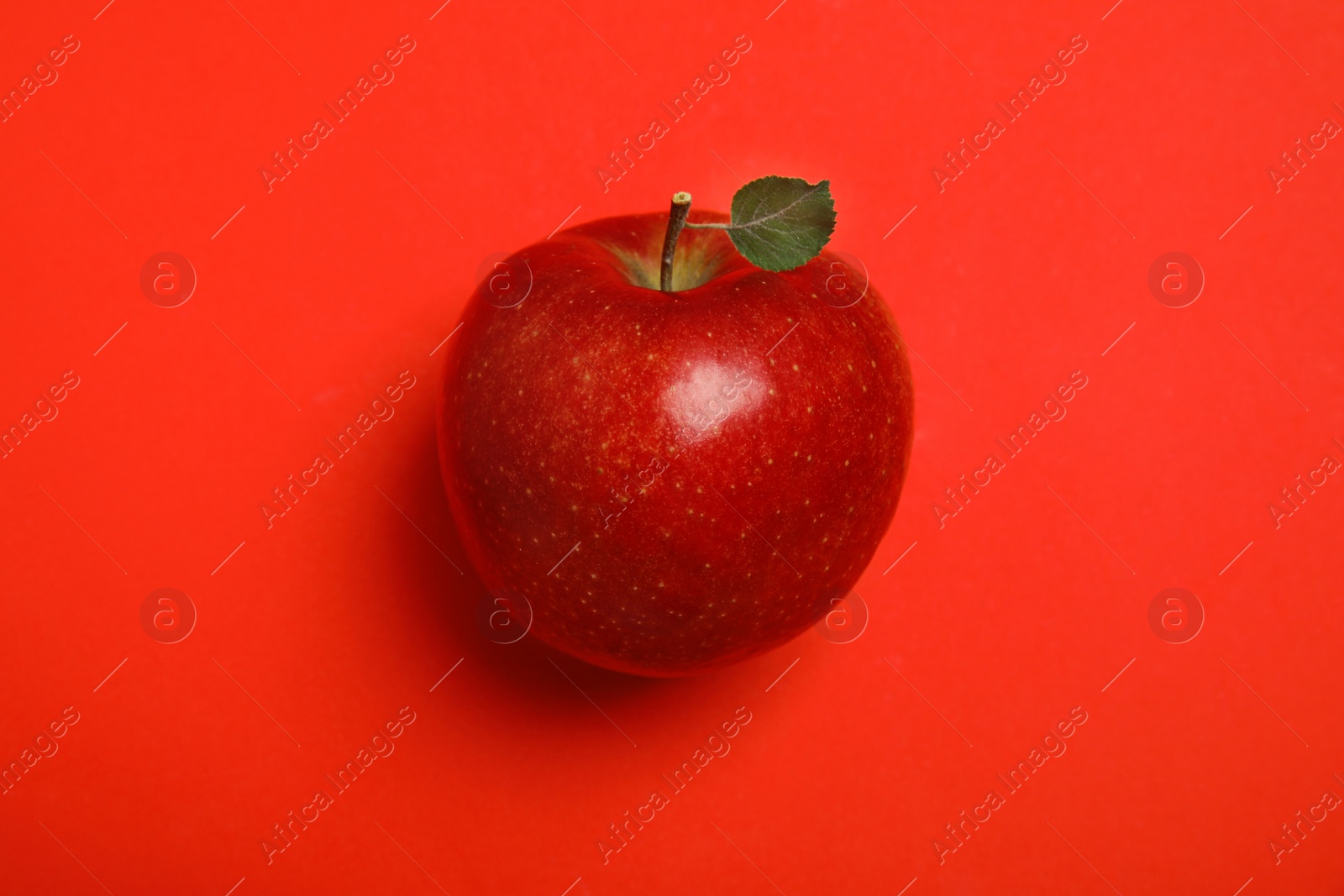 Photo of Ripe juicy apple with leaf on red background, top view