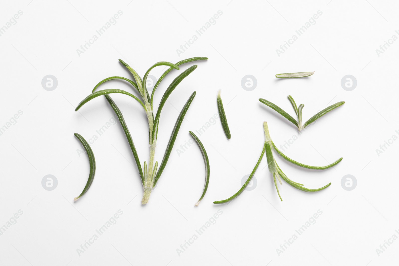 Photo of Sprigs of fresh rosemary on white background, flat lay