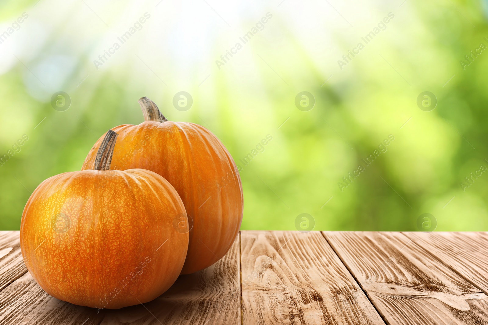 Image of Wooden table with fresh pumpkins outdoors on sunny day. Space for text