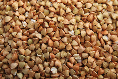 Photo of Closeup view of organic green buckwheat as background