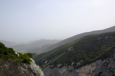 Picturesque view of green forest in mountains