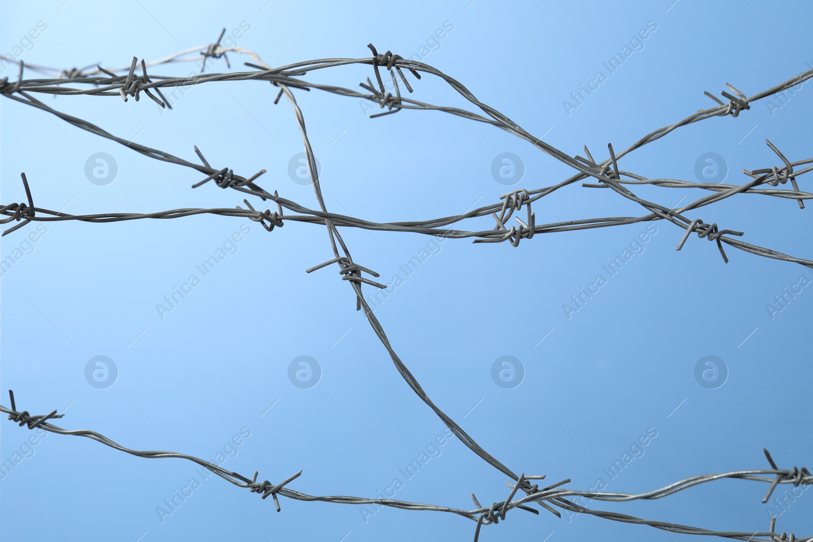 Photo of Metal barbed wire on light blue background