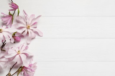 Magnolia tree branches with beautiful flowers on white wooden table, flat lay. Space for text