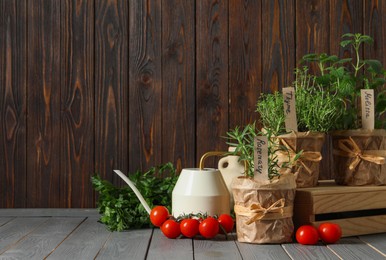 Photo of Different aromatic potted herbs, watering can and tomatoes on grey wooden table. Space for text