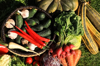 Different fresh ripe vegetables on green grass, flat lay