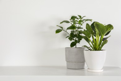 Photo of Beautiful plants in pots on white table indoors, space for text. House decor