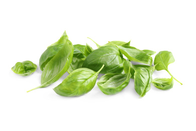 Photo of Pile of fresh basil leaves isolated on white