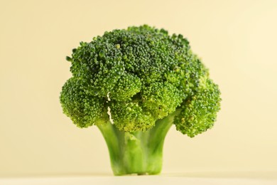 Photo of Fresh raw broccoli on beige background, closeup