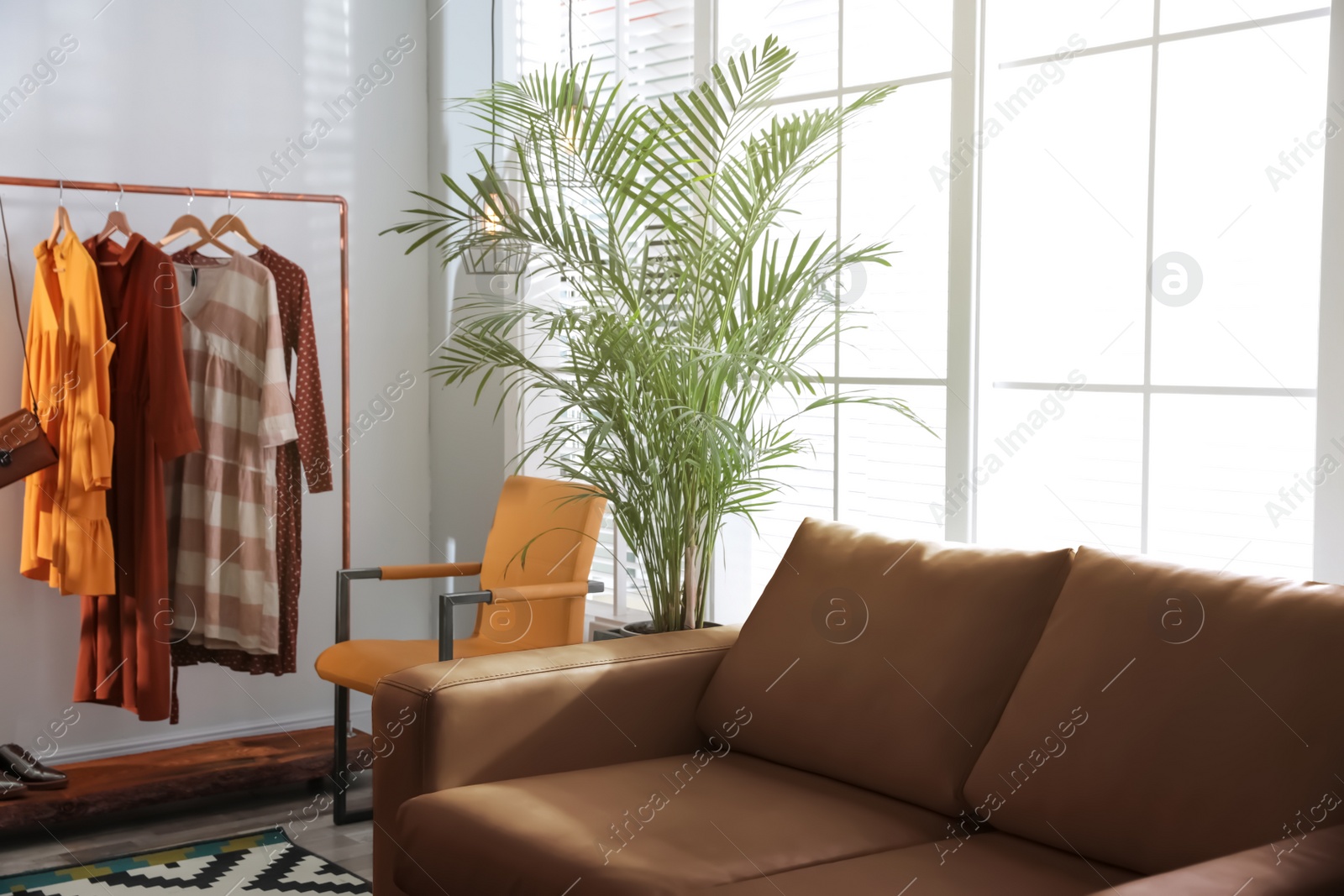 Modern living room interior with stylish leather sofa Photo of Modern living room interior with stylish leather sofa