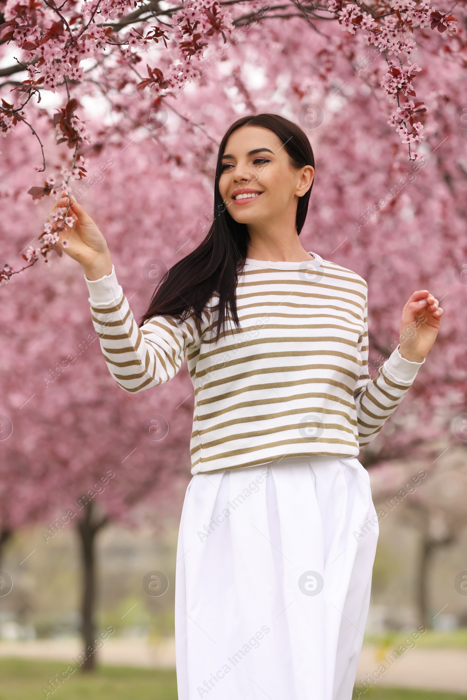 Photo of Pretty young woman in park with blooming trees. Spring look