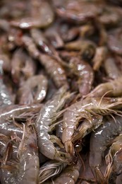 Photo of Many fresh raw shrimp as background, closeup