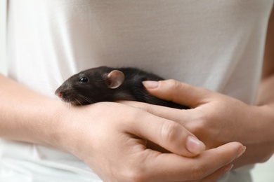 Young woman holding cute small rat, closeup