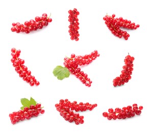 Image of Fresh red currants on white background, collection