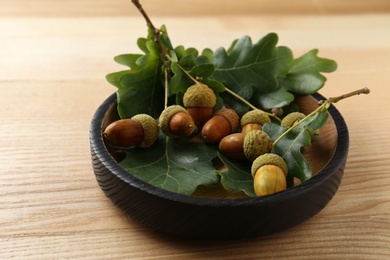 Photo of Acorns and oak leaves on wooden table