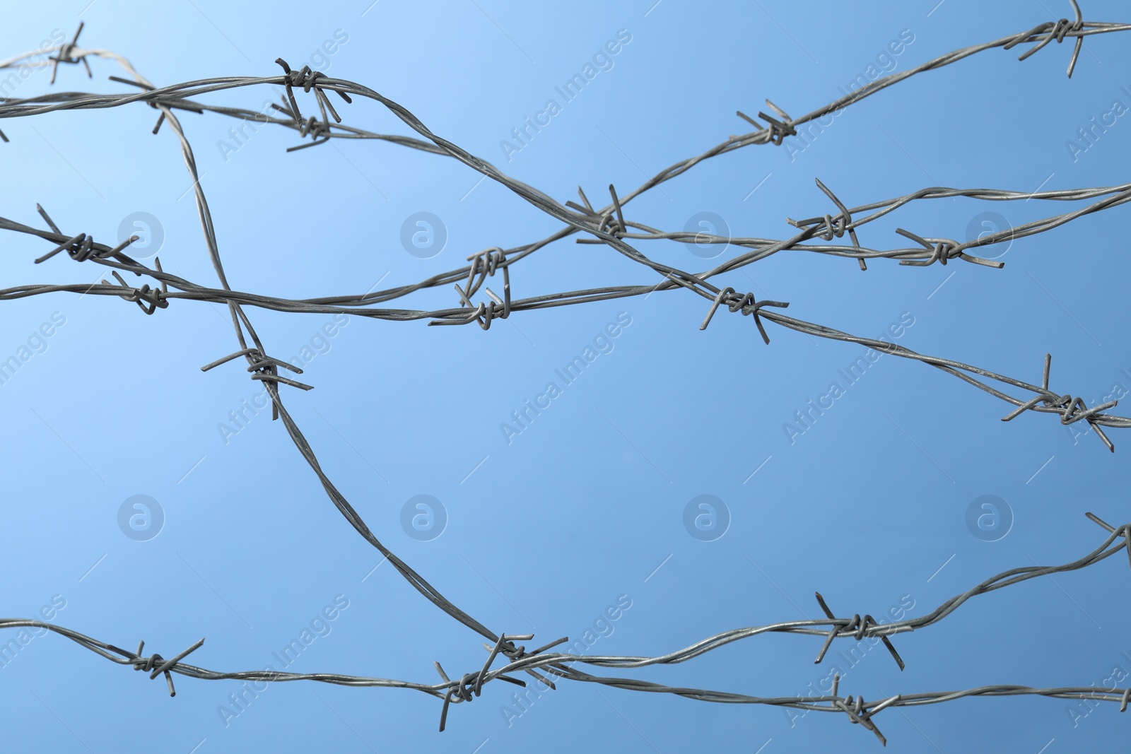 Photo of Metal barbed wire on light blue background