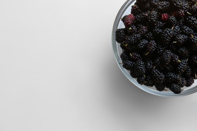 Bowl of delicious ripe black mulberries on white background, top view. Space for text