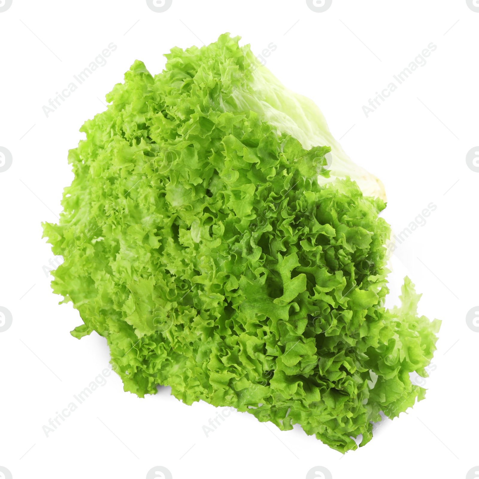 Photo of Fresh lettuce isolated on white. Salad greens