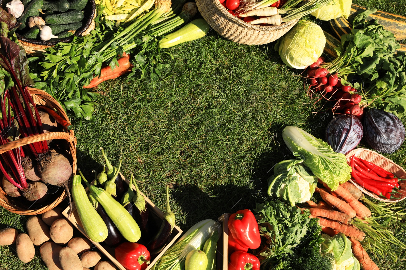 Photo of Frame of different fresh ripe vegetables on green grass, top view. Space for text