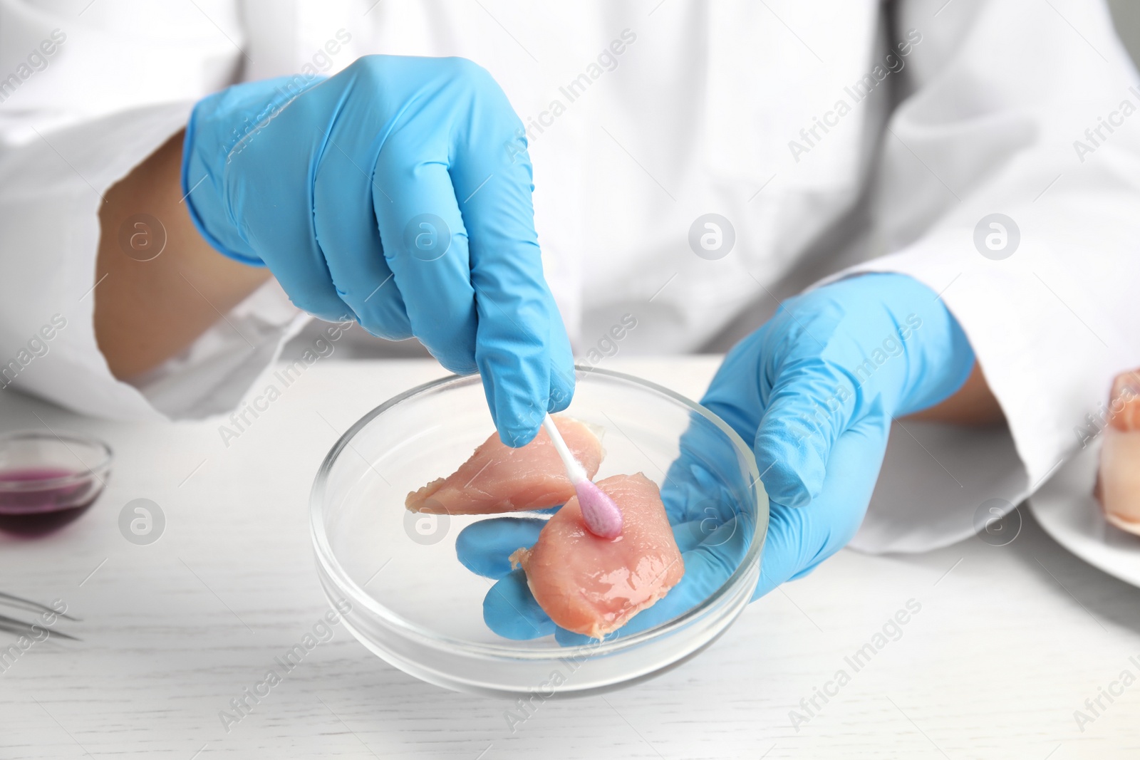 Photo of Scientist inspecting meat at table in laboratory, closeup. Poison detection