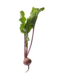 Fresh beet with leaves on white background