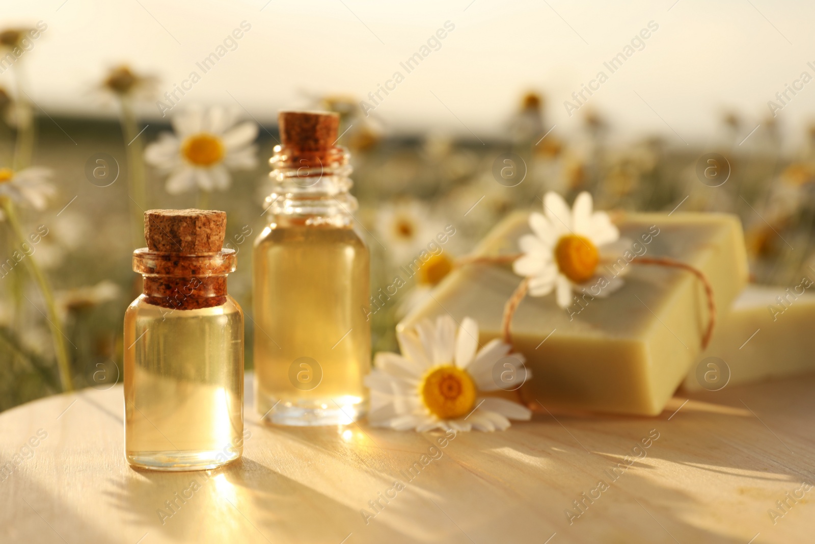 Photo of Bottles of chamomile essential oil and soap bars on wooden table in field