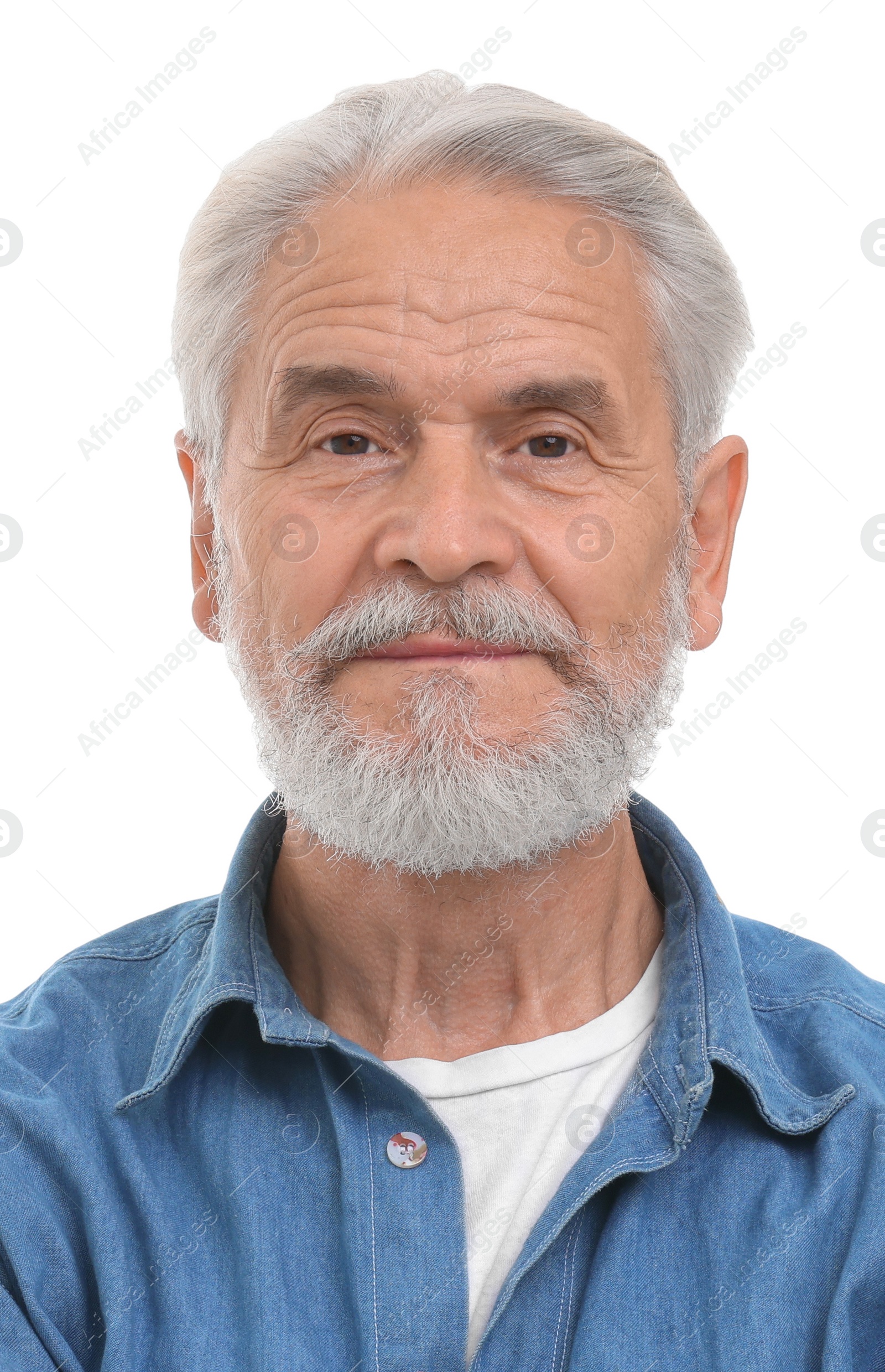 Image of Passport photo. Portrait of man on white background