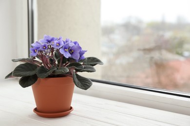 Beautiful potted violet flowers on white wooden window sill, space for text. Delicate house plant