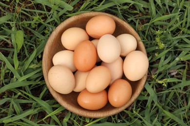 Fresh chicken eggs in bowl on green grass outdoors, top view