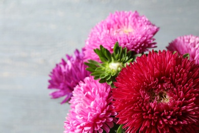 Photo of Beautiful aster flowers on light grey background, closeup. Space for text