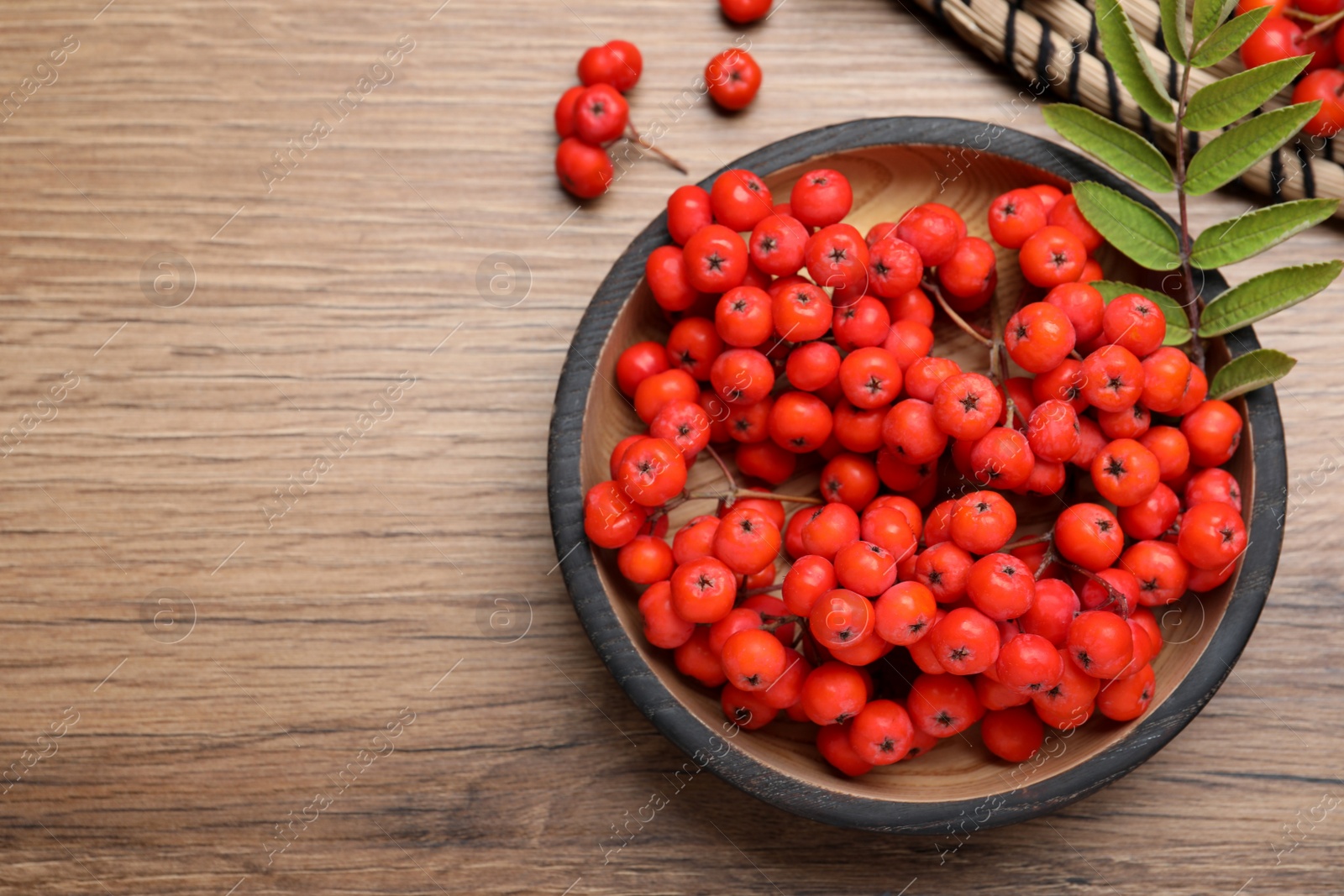 Photo of Fresh ripe rowan berries and leaves on wooden table, flat lay. Space for text