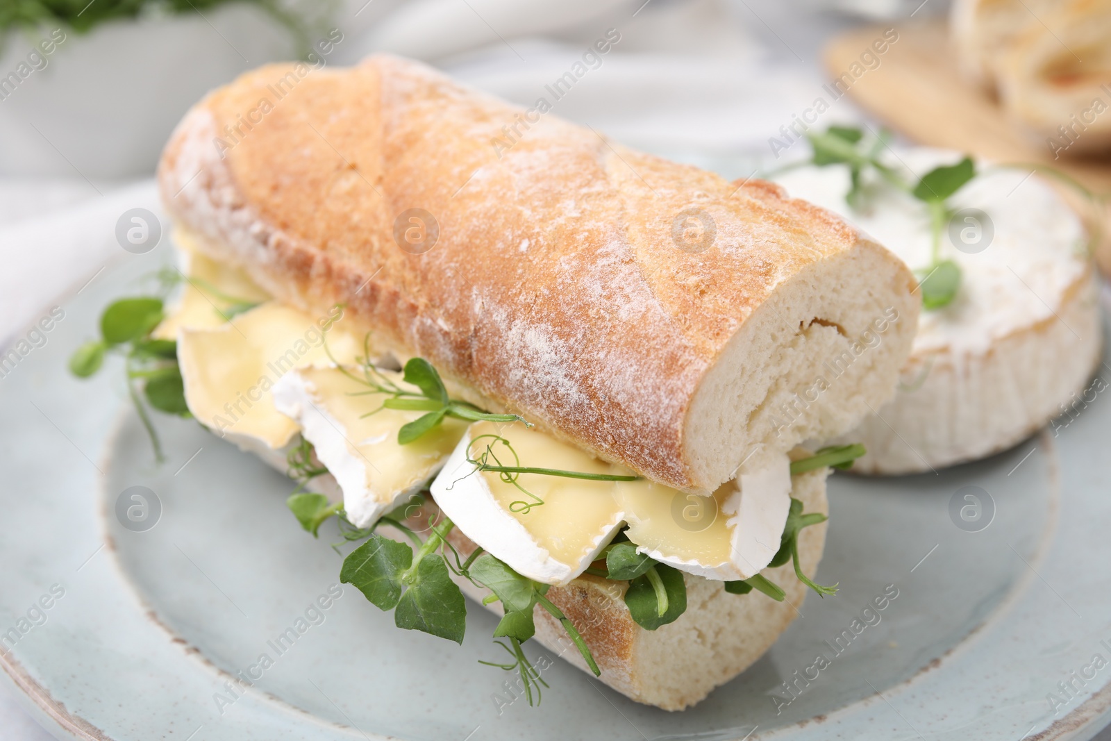 Photo of Tasty sandwich with brie cheese on plate, closeup
