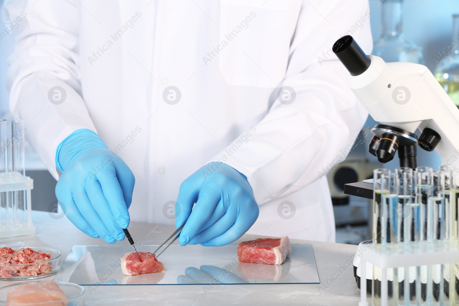 Photo of Scientist inspecting meat sample in laboratory. Food quality control